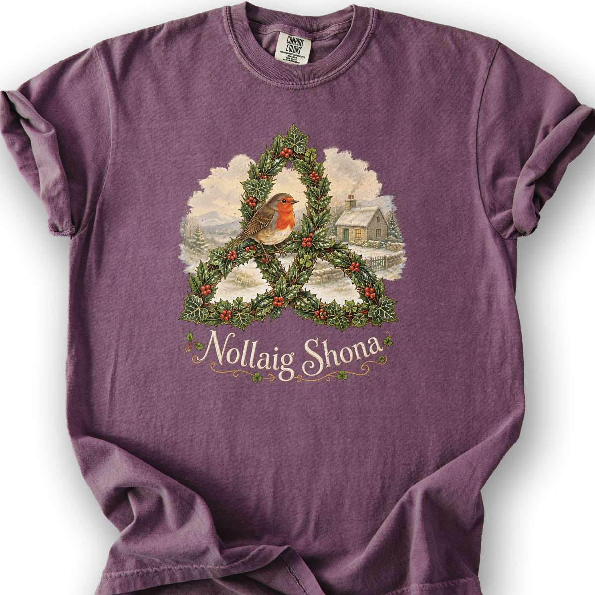 Nollaig Shona Robin T-Shirt