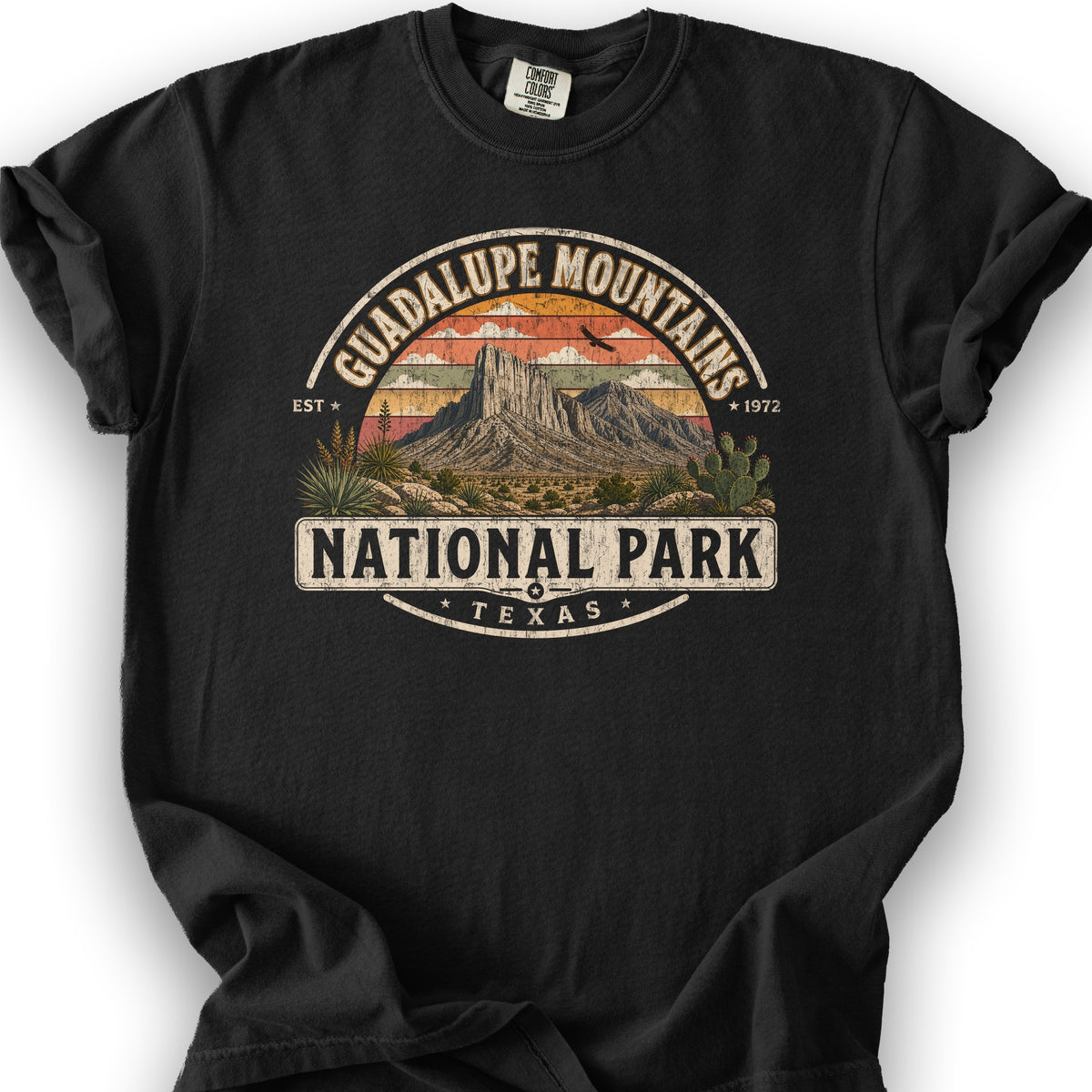 Guadalupe Mountains Medallion T-Shirt - Black