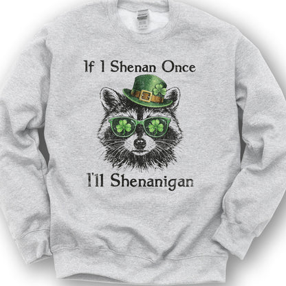 Shenanigans Raccoon Sweatshirt - Ash