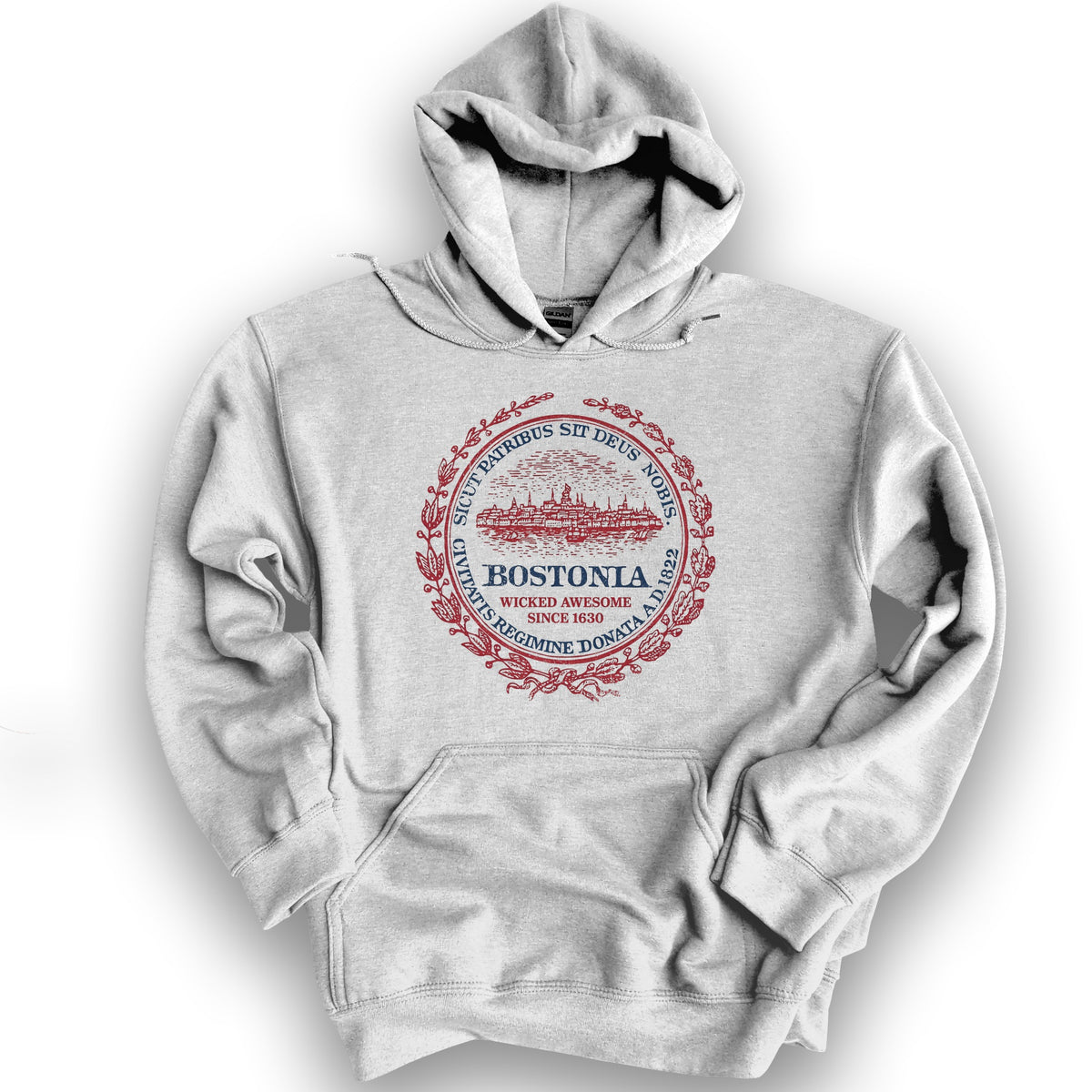 Bostonia Wicked Awesome Hoodie - Ash
