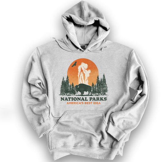 America's Best Idea Parks Hoodie - Ash