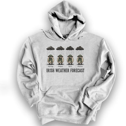 Irish Weather Forecast Hoodie - Ash