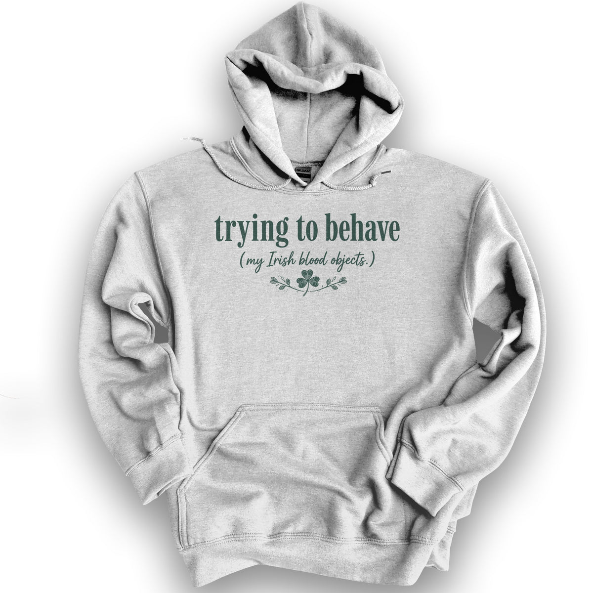 Trying To Behave Irish Hoodie - Ash