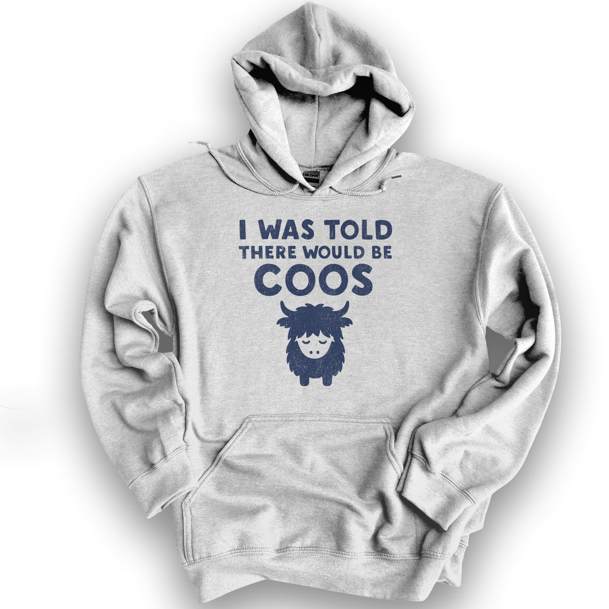 I Was Told Coos Hoodie - Ash