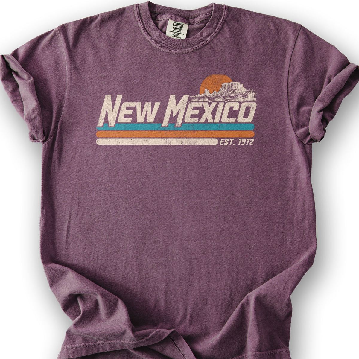 New Mexico Retro Stripe T-Shirt - Berry