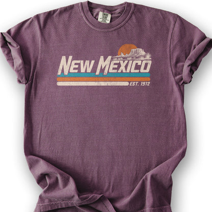 New Mexico Retro Stripe T-Shirt - Berry