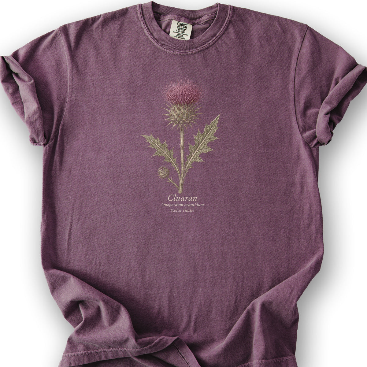 Cluaran Thistle T-Shirt - Berry
