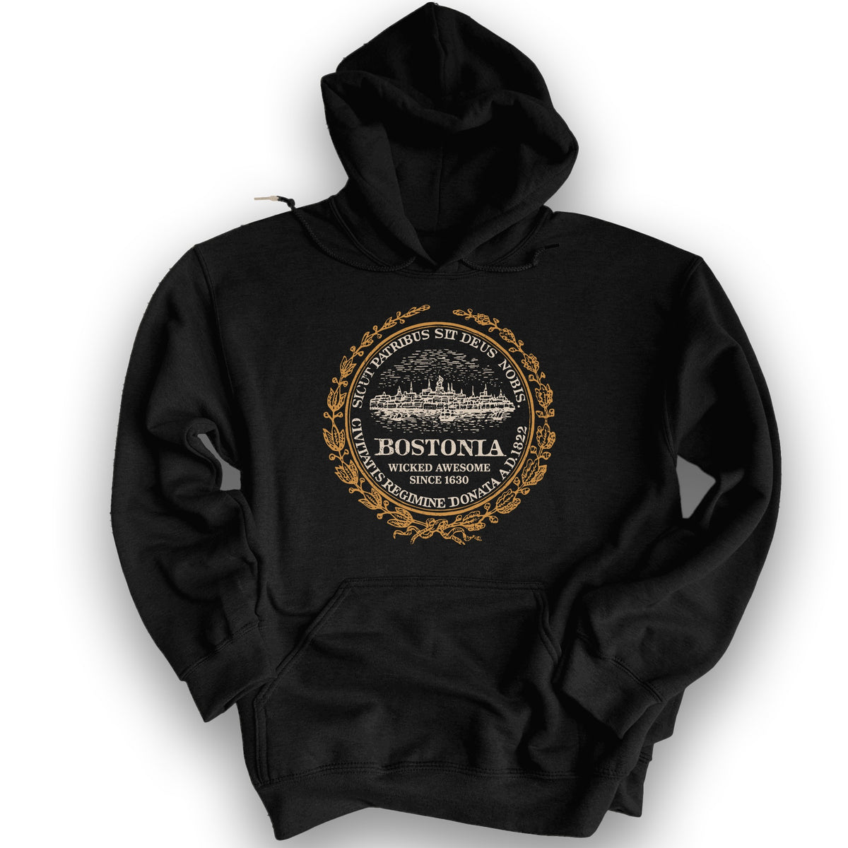 Bostonia Wicked Awesome Hoodie - Black