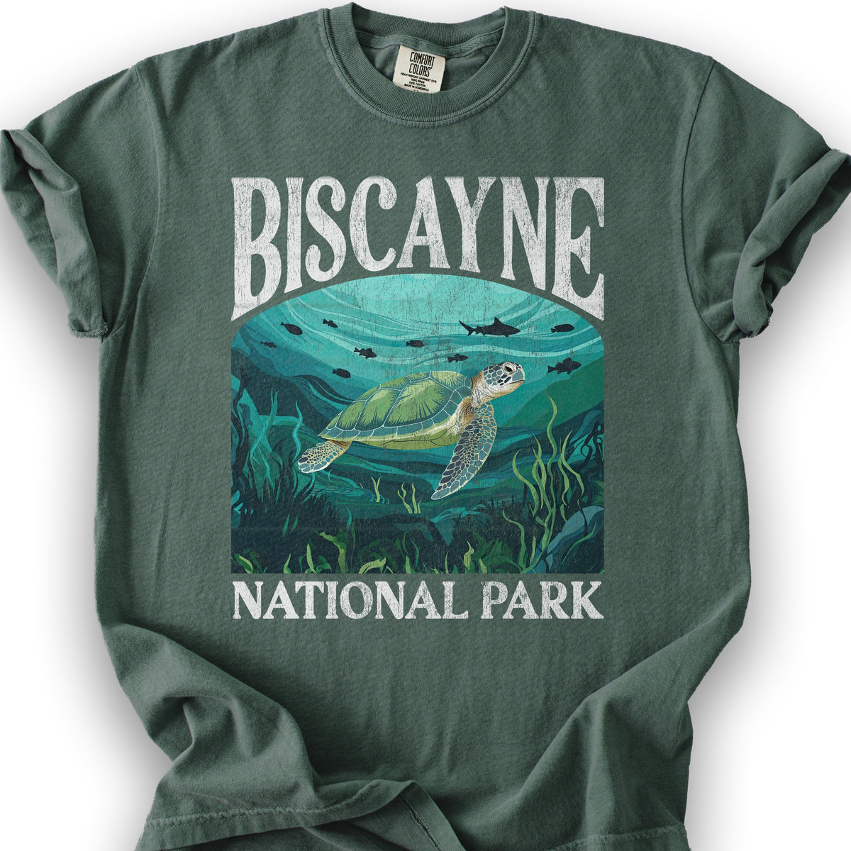 Biscayne National Park "Big and Bold" T-Shirt - Blue Spruce