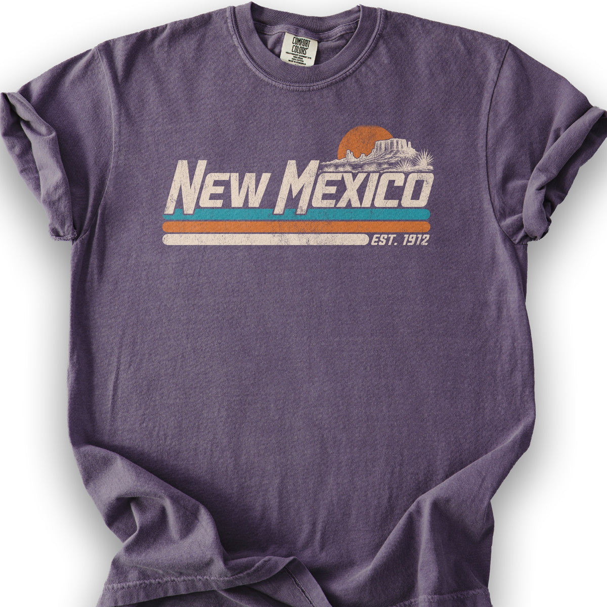 New Mexico Retro Stripe T-Shirt - Grape