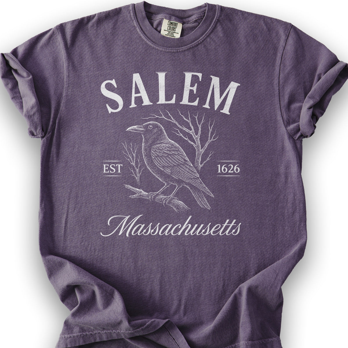Salem Massachusetts Raven T-Shirt - Grape
