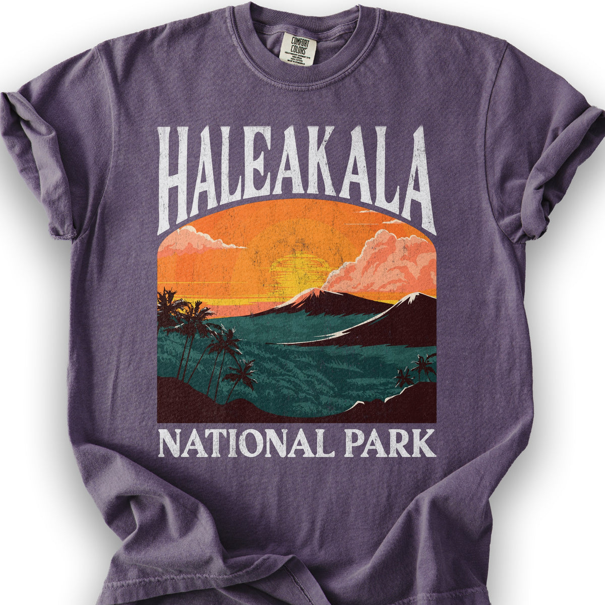 Haleakalā National Park "Big and Bold" T-Shirt - Grape