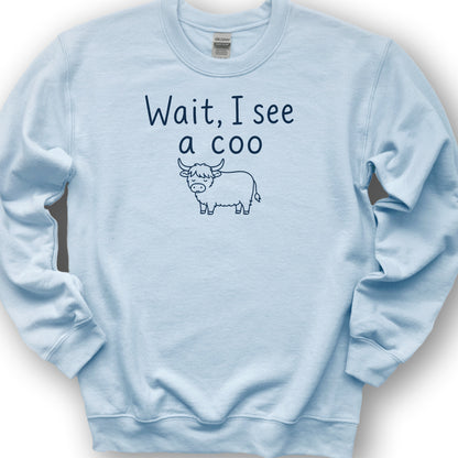 Wait I See A Coo Sweatshirt - Light Blue