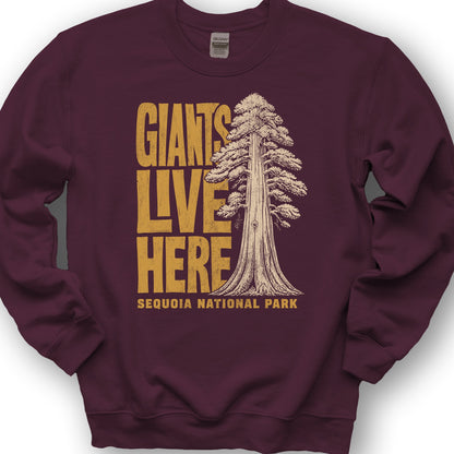 Sequoia Giants Sweatshirt - Maroon