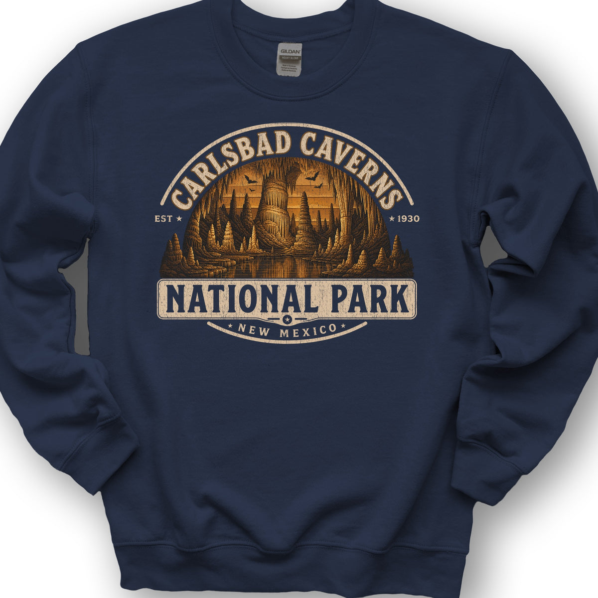Carlsbad Caverns Medallion Sweatshirt - Navy