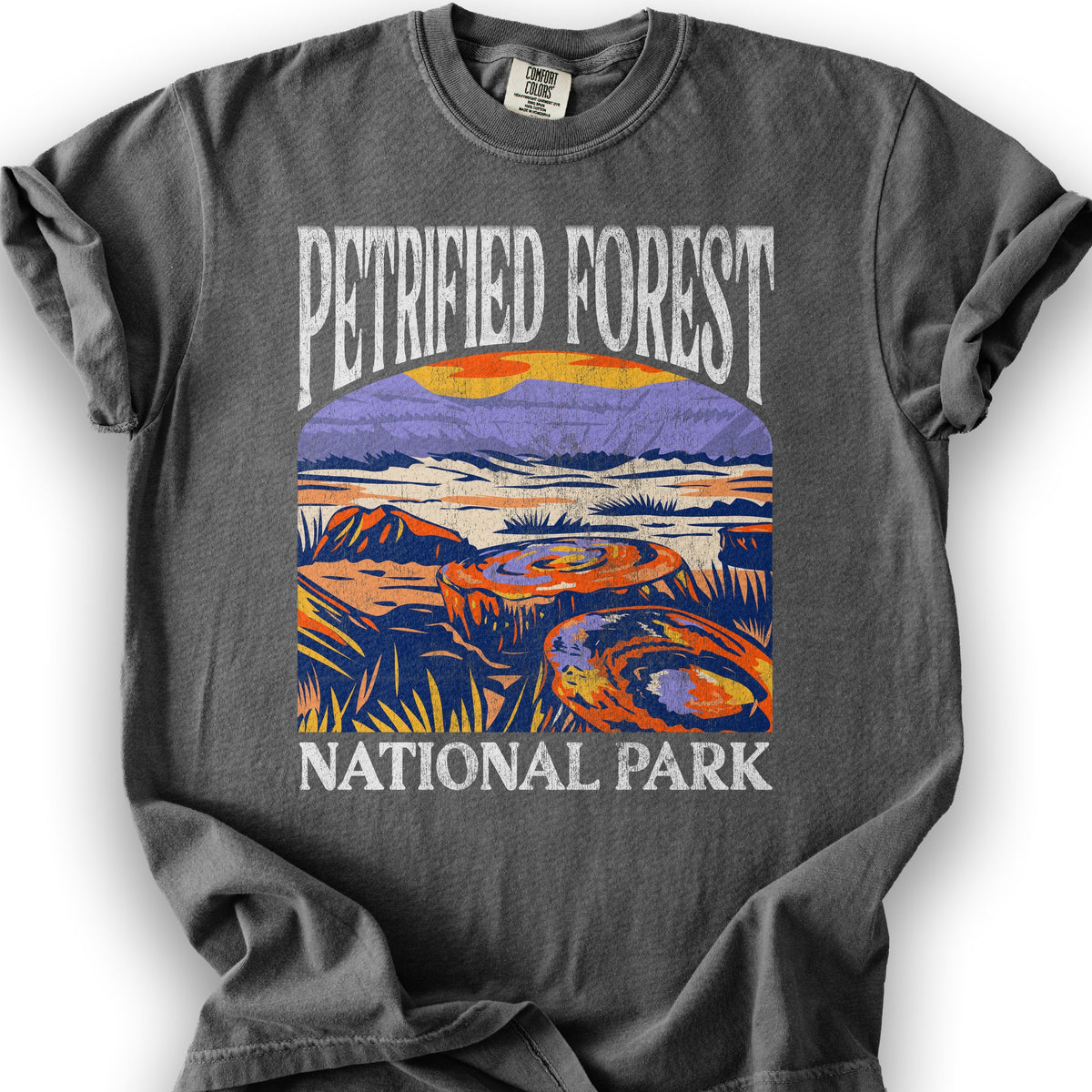 Petrified Forest National Park "Big and Bold" T-Shirt - Pepper