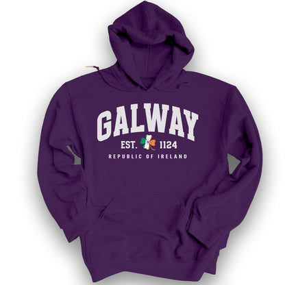 Galway Varsity Flag Hoodie - Purple