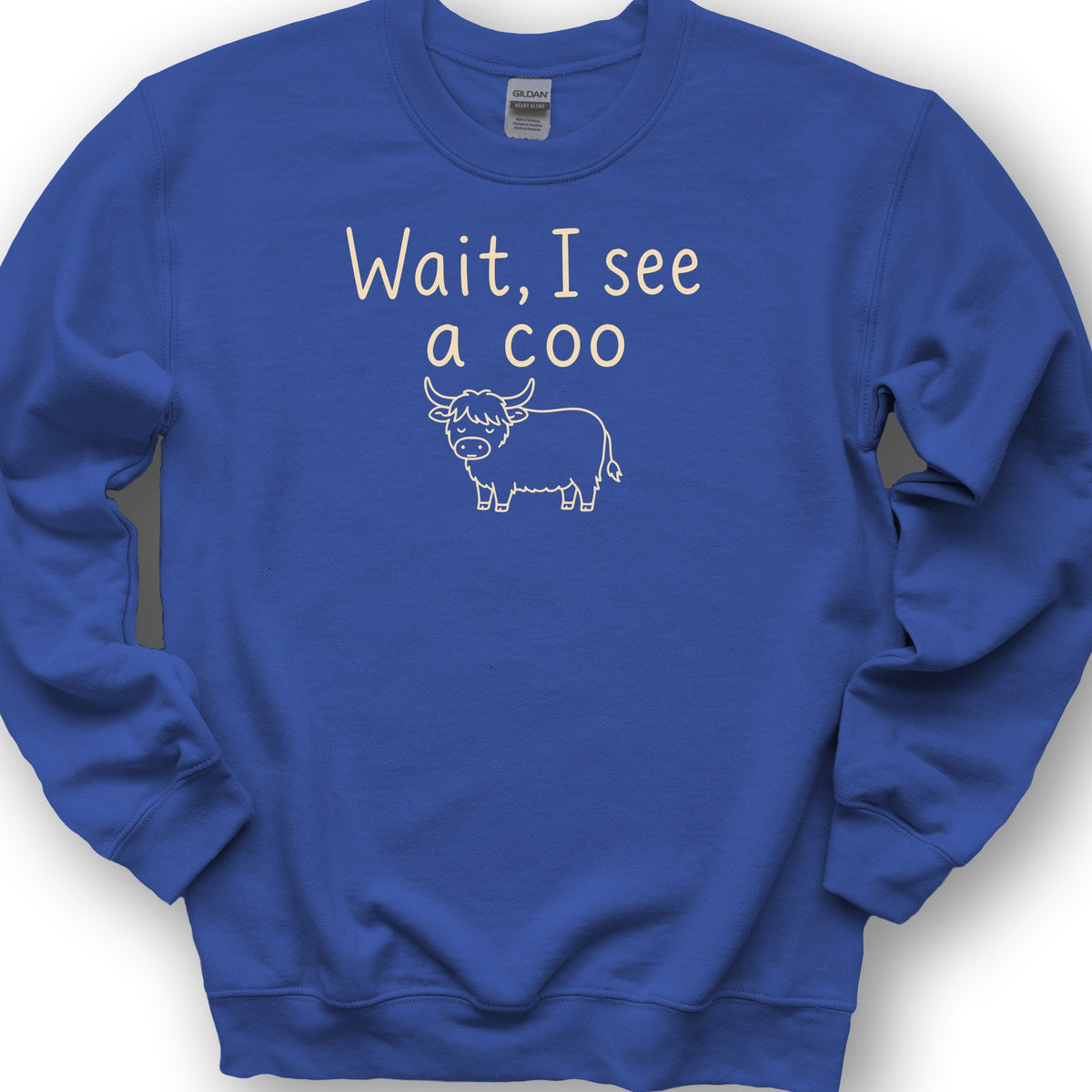 Wait I See A Coo Sweatshirt - Royal