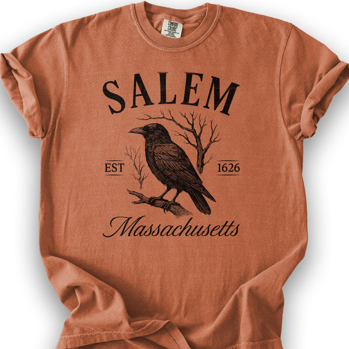 Salem Massachusetts Raven T-Shirt - Yam